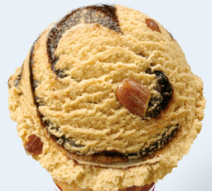 jamoca Fudge